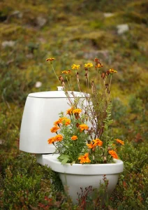 toilettes avec fleurs